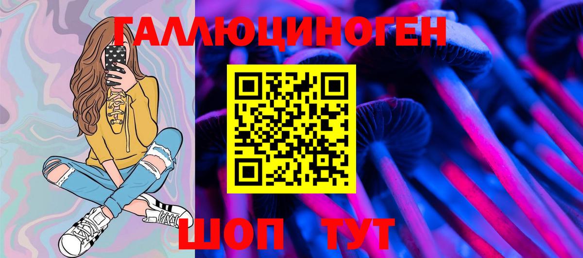 Галлюциногенные грибы Magic Shrooms  Галлюциногенные грибы Psilocybe  Вход с VPN  Котлас 